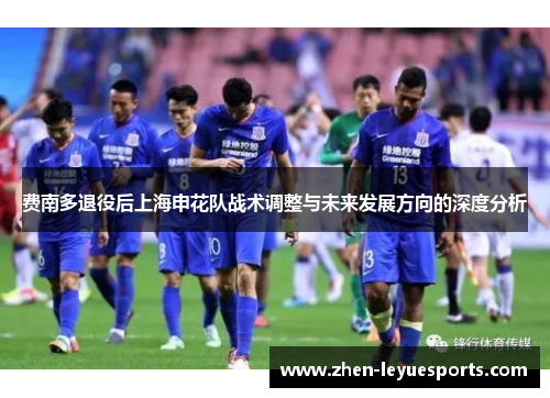 费南多退役后上海申花队战术调整与未来发展方向的深度分析