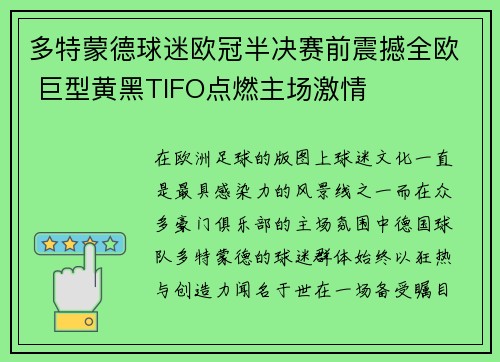 多特蒙德球迷欧冠半决赛前震撼全欧 巨型黄黑TIFO点燃主场激情